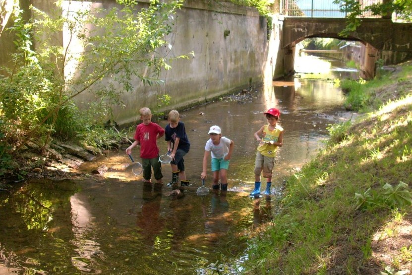 Das Bild zeigt Kinder bei einer Gewässeruntersuchung mit Sieben.